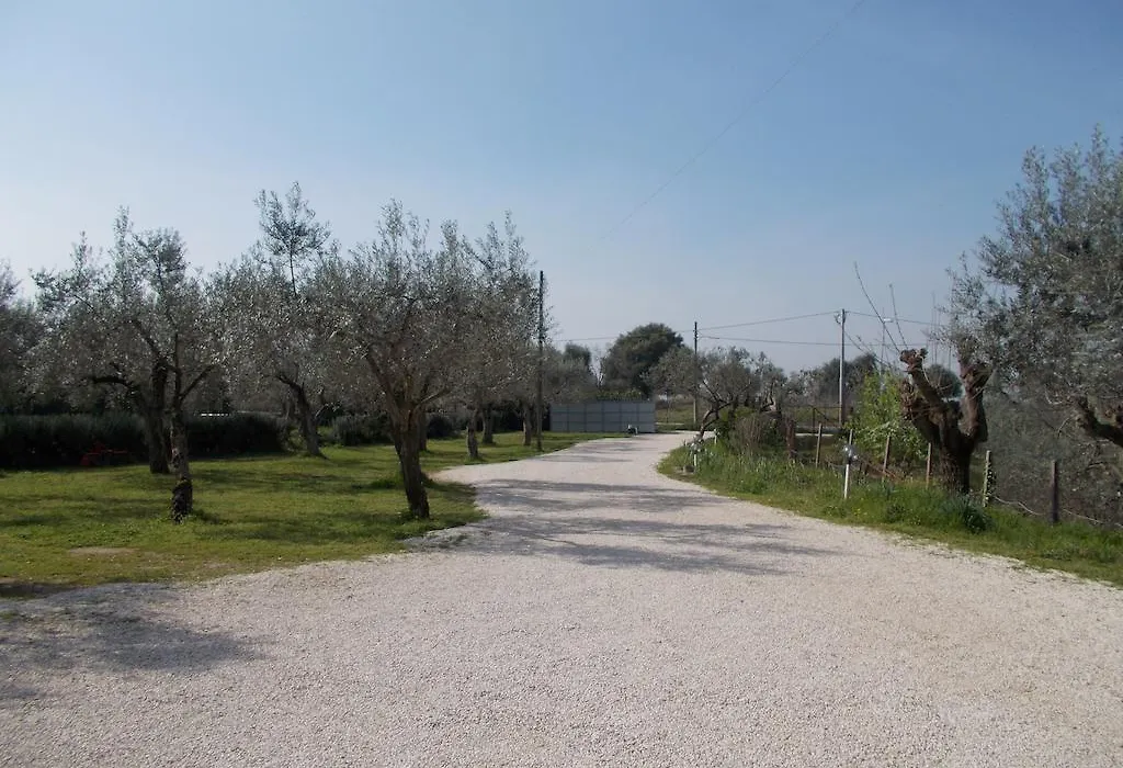 Casa Degli Ulivi-1